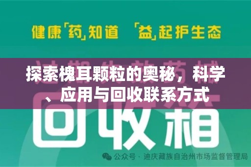 衡阳探索槐耳颗粒的奥秘，科学、应用与回收联系方式