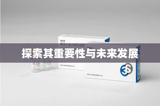 海口探索其重要性与未来发展